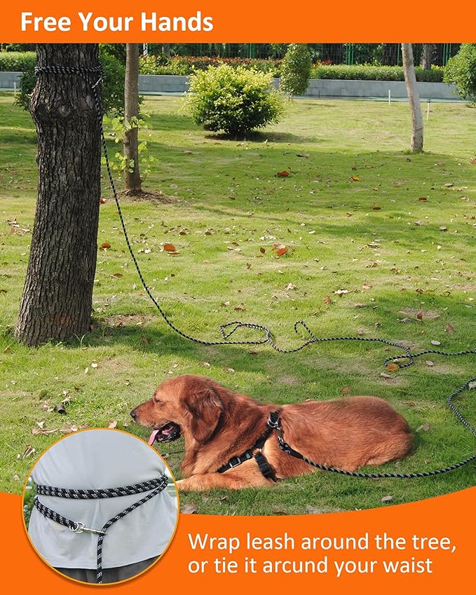 Long Dog Leash for Training - 10FT/16FT/30FT/50FT/100FT, Reflective, Heavy Duty for Large, Medium, Small Dogs - Walking, Playing, Camping, Yard