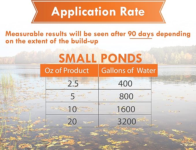PondWorx Pond Bacteria - Formulated for Large Ponds, Water Features and Safe for Koi - Gallon (Pack of 2)