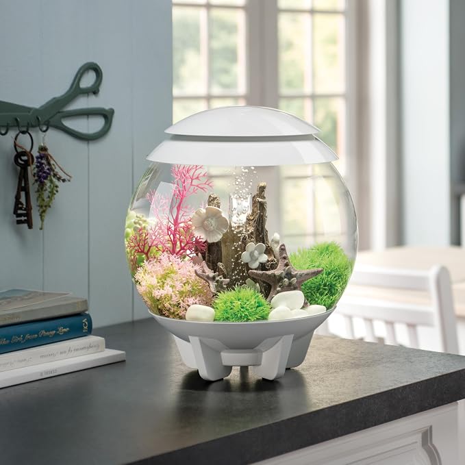 biOrb Halo 15 Acrylic 4-Gallon Aquarium with Multi-Color Remote-Controlled LED Lights Modern Compact Tank for Tabletop or Desktop Display, White