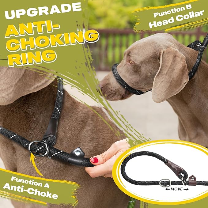 Fida Durable Slip Lead Dog Leash, 6 FT x 3/8" Heavy Duty Comfortable Strong Rope Slip Lead for Small Dogs and Puppies, No Pull Pet Training Lead with Highly Reflective(3/8", Black)