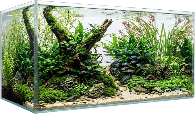20 Gallon Rectangular Fish Tank, Rimless Ultra Clear Nano Aquarium | 6mm Thickness Ultra Clear Fish Tank for Betta/Turtle/Goldfish/Snails/Shrimp and Aquatic Planting
