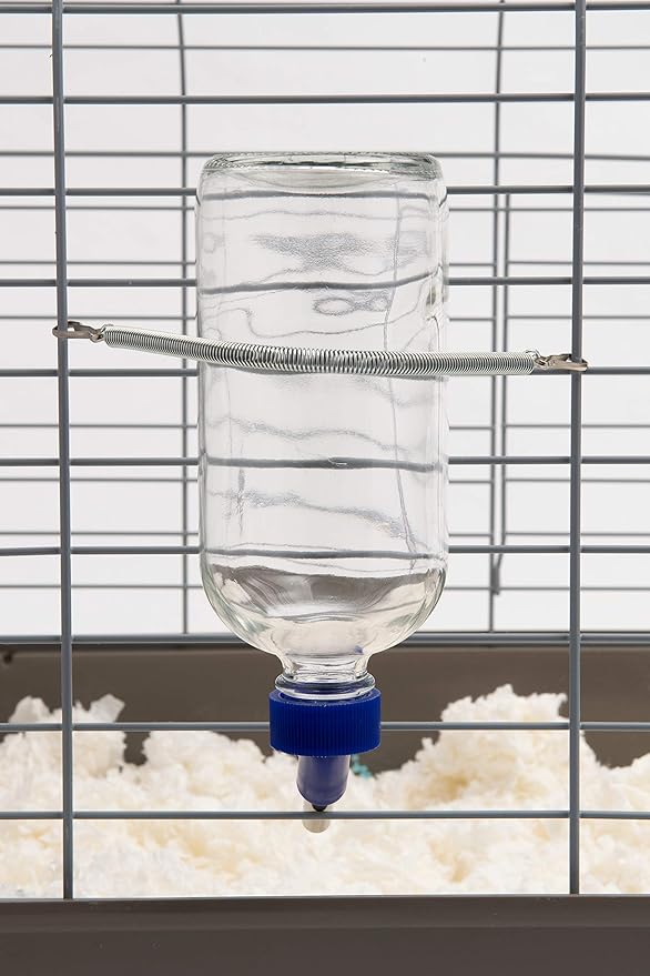 Lixit Glass Water Bottles for Rabbits, Ferrets, Small Birds, Guinea Pigs, Rats, Hamsters and Other Pets (16oz)