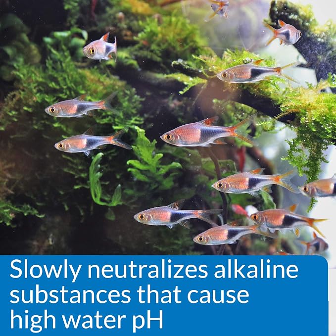 API pH DOWN Freshwater Aquarium Water pH Reducing Solution 4-Ounce Bottle
