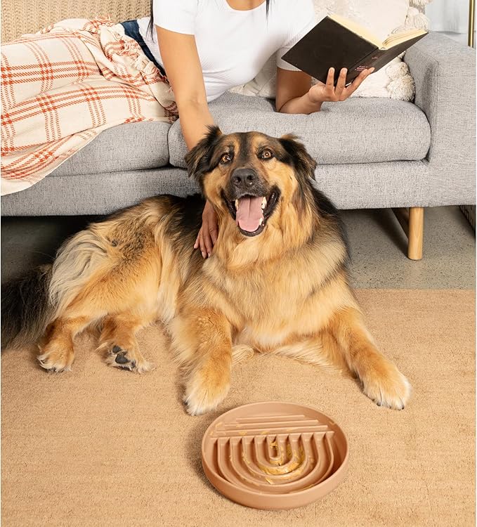 Should We Go? Slow Feeder for Dogs & Puppies, The Slowdown Bowl Silicone Slow Eating, Lick Mat Design, Reduces Gulping, Fits 2.5 Cups, 9.5” Across x 1.5” Tall, Mealtime Challenge, Large-Terracotta