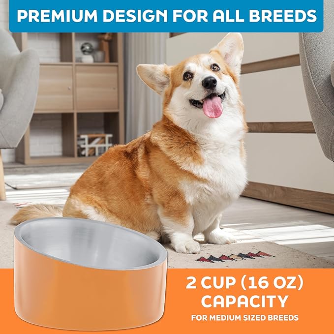 Master Pet Supply Stainless Steel Slanted Dog Cat Food Bowl - 16 oz Heavy Duty - Mango Tango, Double Wall Insulated, Non-Slip Elevated Bowl for French Bulldogs Pugs Cats, Anti Rust Dishwasher Safe