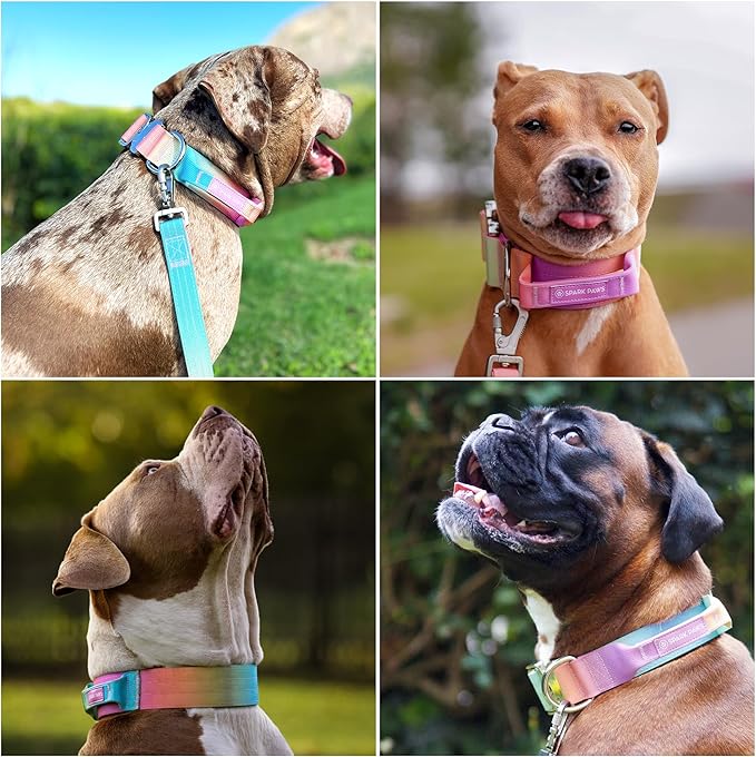 Spark Paws Tactical Dog Collar with Handle - Premium Quality Collar, Robust and Durable Design for Large, Strong Breeds - Pitbulls, Labradors, GSD - Pastel Icing - M