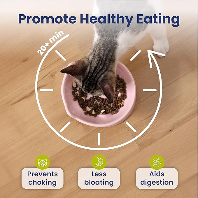 PawsPik Lynx Ceramic Raised Slow Feeder Dog & Cat Bowl, Tilted 15° Elevated Pet Food Bowl, Whisker-Friendly Anti-Choking Dish, Dishwasher Safe (Quartz Pink)