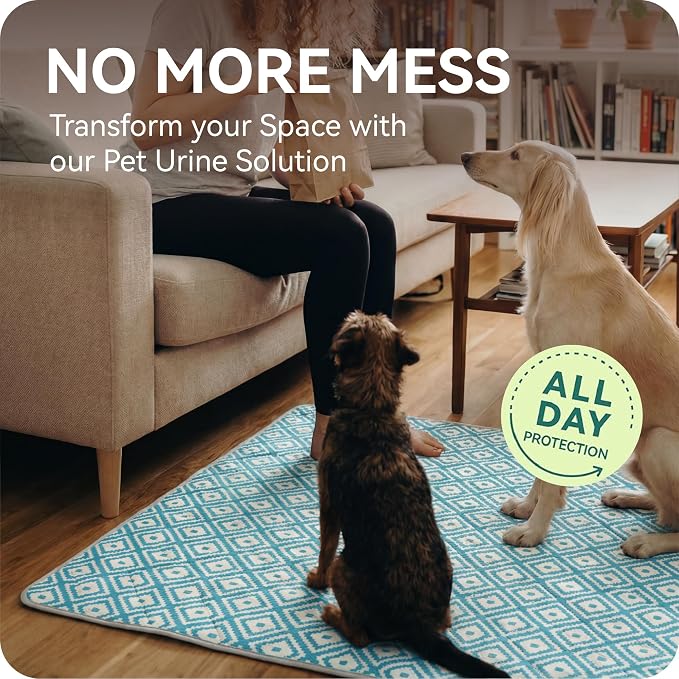 Washable Pee Pads for Dogs , 2 Pack Ultra-Absorbent Reusable Puppy Pads with Waterproof & Non-Slip Backing, Leak-Proof Protection for Dog Training , Crates , Whelping & Playpens ( 24"x36" )