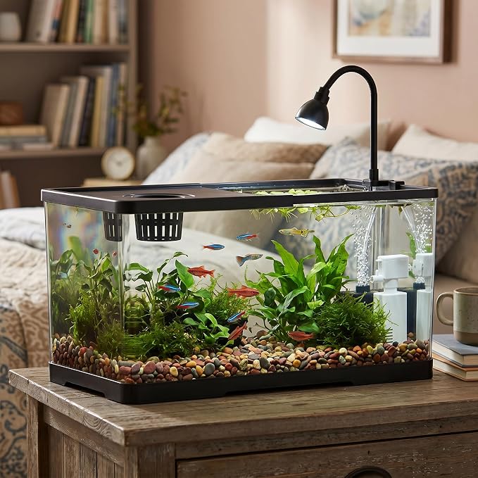 2 Gallon Hydroponic Fish Tank, Small Desktop Aquarium Kit | Compact hydroponic desktop aquarium with quiet filter pump & LED light. Ideal for betta fish, shrimp & home office decor.