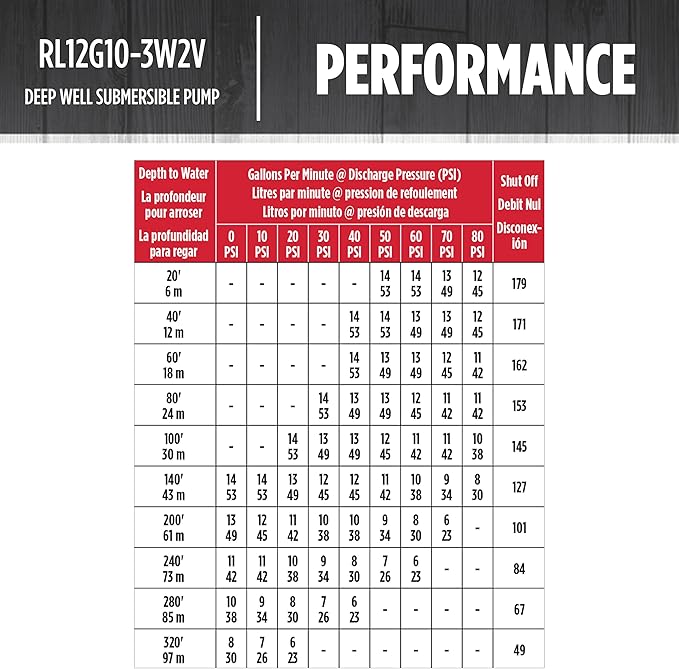 Red Lion RL12G10-3W2V 4-inch Submersible Deep Well Pump with Control Box, 1 HP, 12 GPM, 3-Wire, 230 Volt, Steel, 14942407