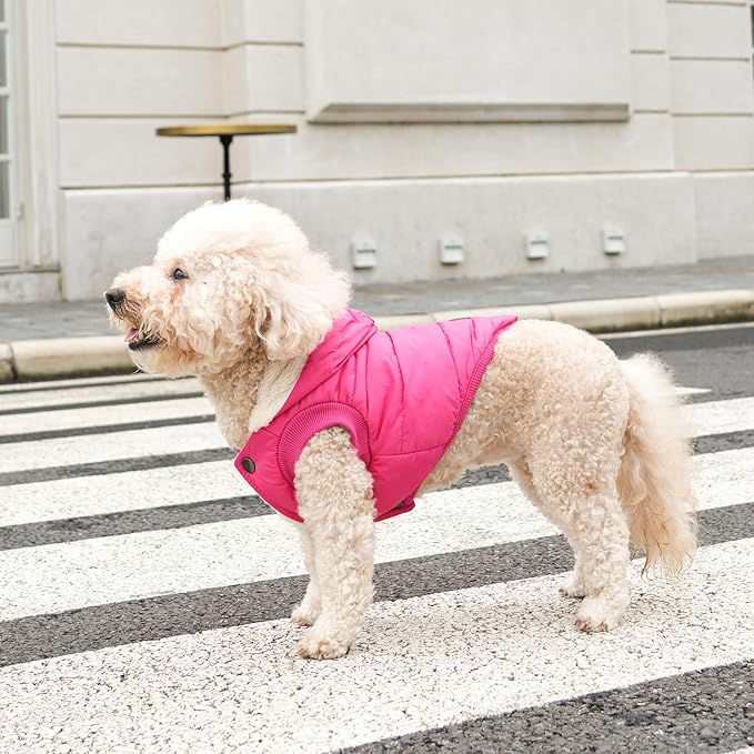 Vecomfy Fleece Lining Extra Warm Dog Hoodie in Winter for Small Dogs Jacket Puppy Coats with Hooded Pink M