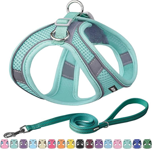 AIITLE Step in Dog Harness and Leash Set - No Pull Escape Proof Vest Harnesses with Soft Mesh and Reflective Bands, Adjustable Pet Outdoor Harnesses for Small and Medium Dogs Pure Turquoise M