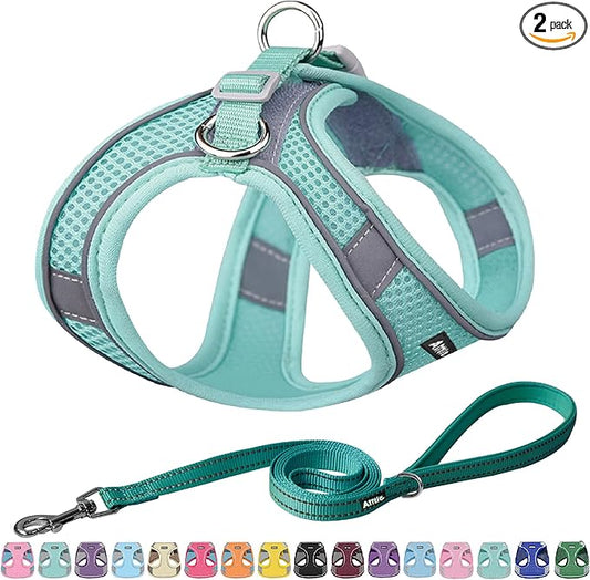 AIITLE Escape Proof Dog Harness - Step in Adjustable Dog Harness No Choke Over with Breathable Mesh and Quick-Release Buckle - Outdoor Walking, Training for Medium Dogs Pure Turquoise XL