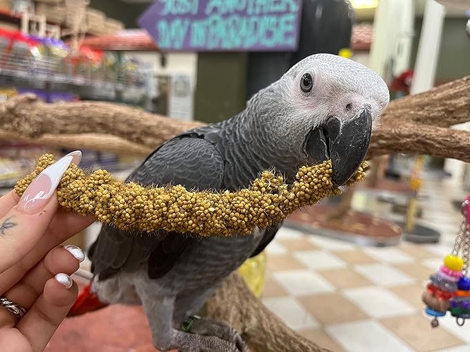 Birds LOVE Economy Special Spray Millet GMO-Free (No Stems Only Edible Tops) for Birds Cockatiel Lovebird Parakeet Finch Canary All Parrots Healthy Treat - 7oz