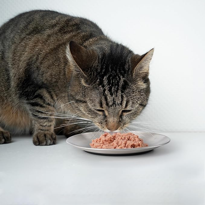 Cat food bowl, anti whisker fatigue stainless steel cat tray for indoor and outdoor cats, shallow wide cat tray for food and water, anti slip silicone bottom