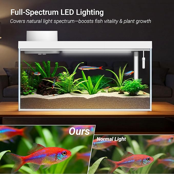 1.3 Gal Glass Desktop Fish Tank Kit with Bluetooth App Control - Automatic Feeder, RGB Lighting, Temperature Monitor & Self-Cleaning Filtration - Small Aquarium for Betta, Guppy, Shrimp