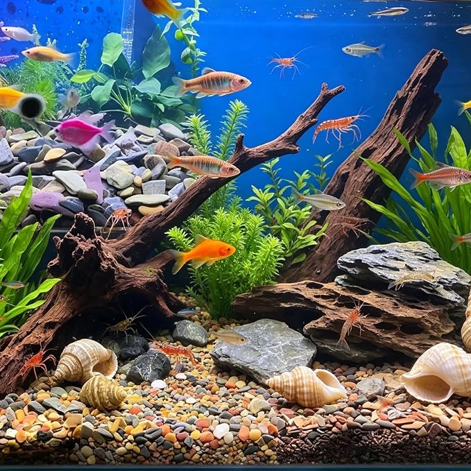 Aquarium Gravel, 2lbs Fish Tank Rocks, 0.4-1.2 inches | Aquascape Substrate for Turtle Tank, River Rocks, Safe for Aquariums, Terrariums