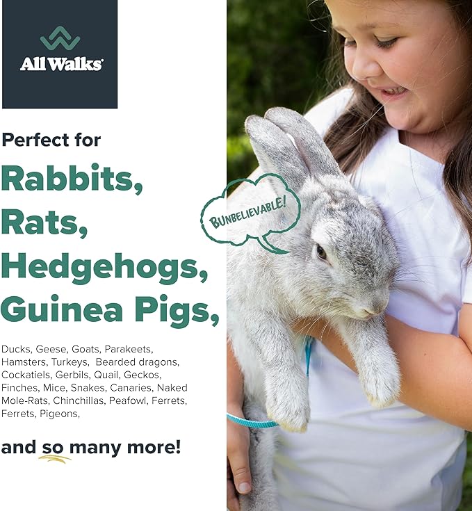 All Walks 18.5 Liter Premium Natural Hemp Bedding, Odor Control, Low Dust, Highly Absorbent, for Rabbits, Hamsters, & Small Animals, Biodegradable, Made in USA