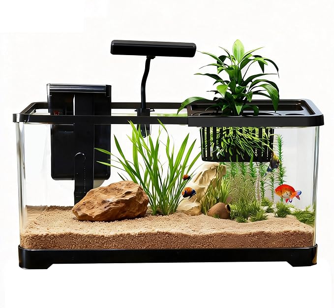 5 Gallon Fish Tank, Aquarium Plastic Starter Kit with Filter, Small Net and LED Light, Fish Tank for Betta, Plastic Nano Aquarium with Lid(18.5 * 7.87 * 8.07 inch/Black) (5 Gallon Fish Tank)