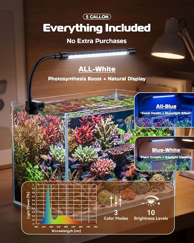 Glass Fish Tank Kit, 5 Gallon Betta Fish Tank Aquarium Starter Kit | Complete Aquarium Kit with Filter, Adjustable LED Light, Heater, Lid, Net, Water Changer for Betta, Goldfish or Shrimp, Clear