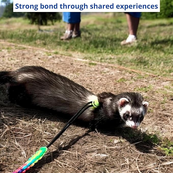 Ferret Leash Harness Adjustable Squirrel, Ferret Leash and Harness Sets for Ferrets Guinea Pig Chinchilla Rat Dragon Bearded Small Animal, Pet Squirrel Ferrets Accessories (Pink)