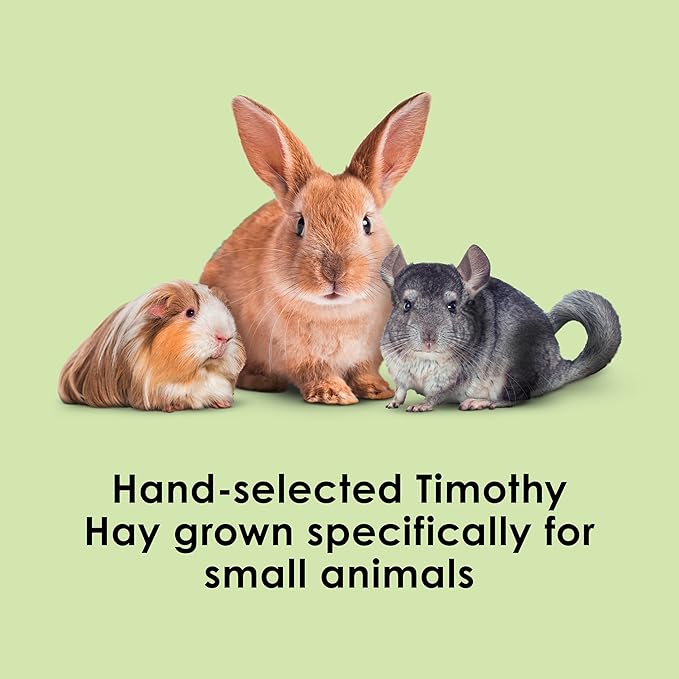 Kaytee Timothy Hay, High Fiber, Grown Specifically for Small Animals, Rabbits, Guinea Pigs, Chinchillas, 96 Ounces