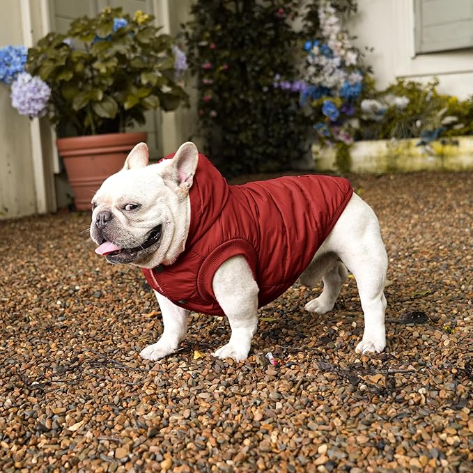 Vecomfy Dog Hoodie in Winter for Medium Dogs Jacket Pet Coats with Hooded, Red L
