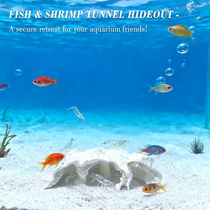 LIYAOLI Aquarium Ornaments Cave Tunnel with Viewing Ports | Fish Tank Decoration Hideout for Pleco, Shrimp & Corydoras | Substrate-Friendly Design & Sinking Base (S - White)
