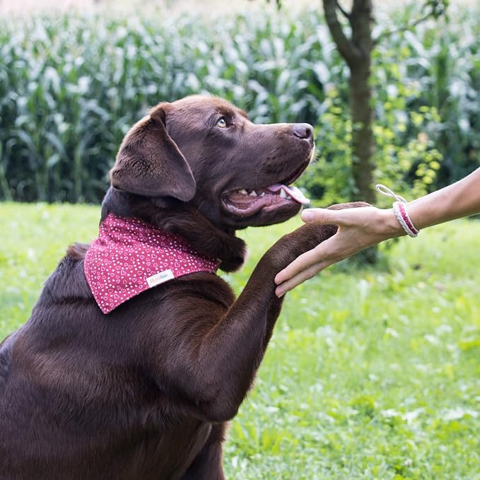 Pettsie Hemp Dog Bandana Collar & Matching Owner Friendship Bracelet | Soft & Durable Hemp, Removable Scarf, Matching Owner Friendship Bracelet, Gift-Ready Set, Red