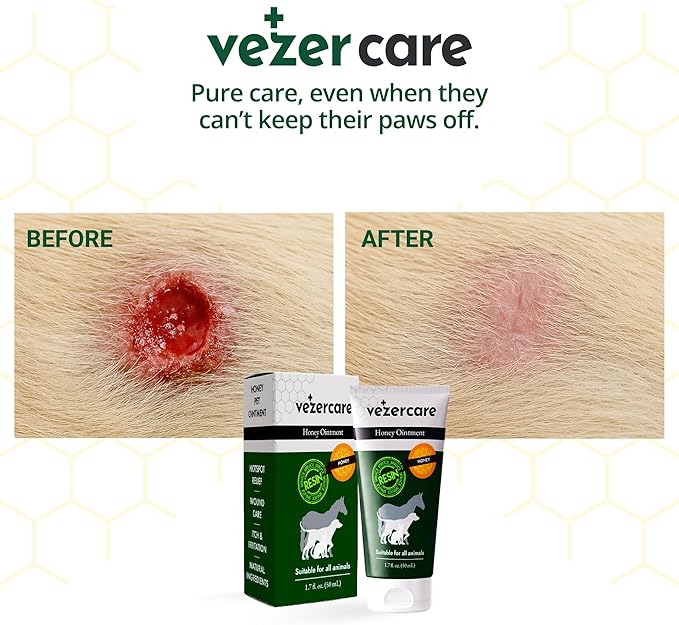 Honey Balm Ointment with Spruce Resin for Dogs, Cats & Horses, Natural Wound Care Gel, Hot Spot Treatment, Itchy Skin Relief, Dog and Cat Wound Care, 1.7oz, Made in Finland, Antifungal & Steroid Free