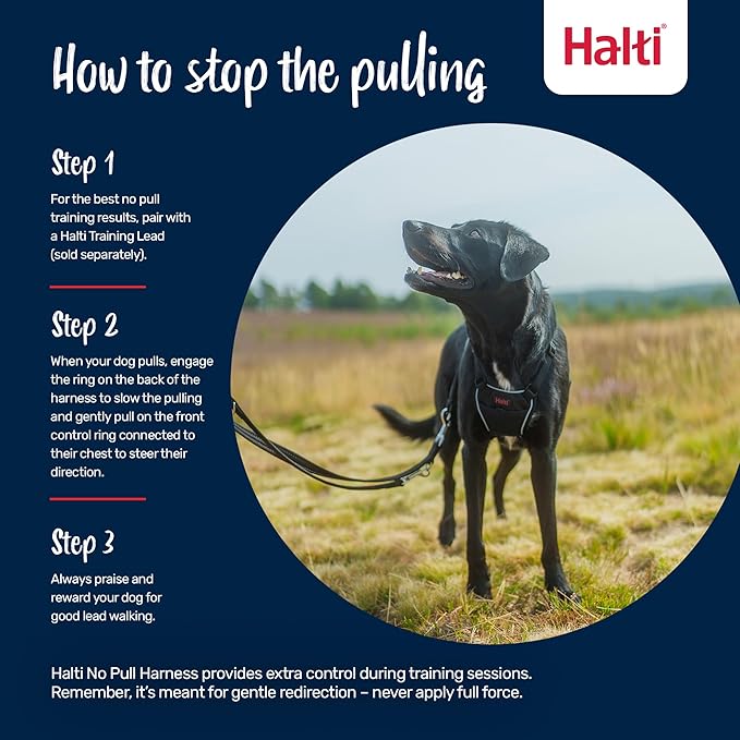 Halti No Pull Harness - Stop Your Dog Pulling on The Leash. Adjustable, Lightweight and Easy to Use. Reflective Dog Training Harness for Medium Dogs (Size M, Cobalt Blue)