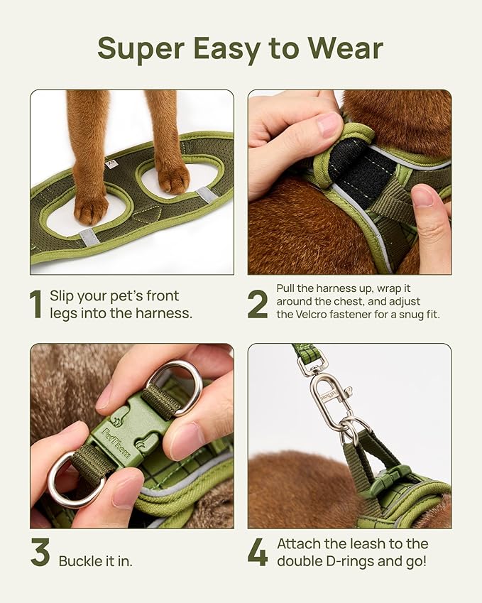 PetThem Upgraded Cat Harness and Leash Set - Step-in Escape Proof Adjustable Cat Harness, Comfortable Soft Lightweight, Reflective Harness for Walking, Travel, Camping (Growling Crocodile, L)