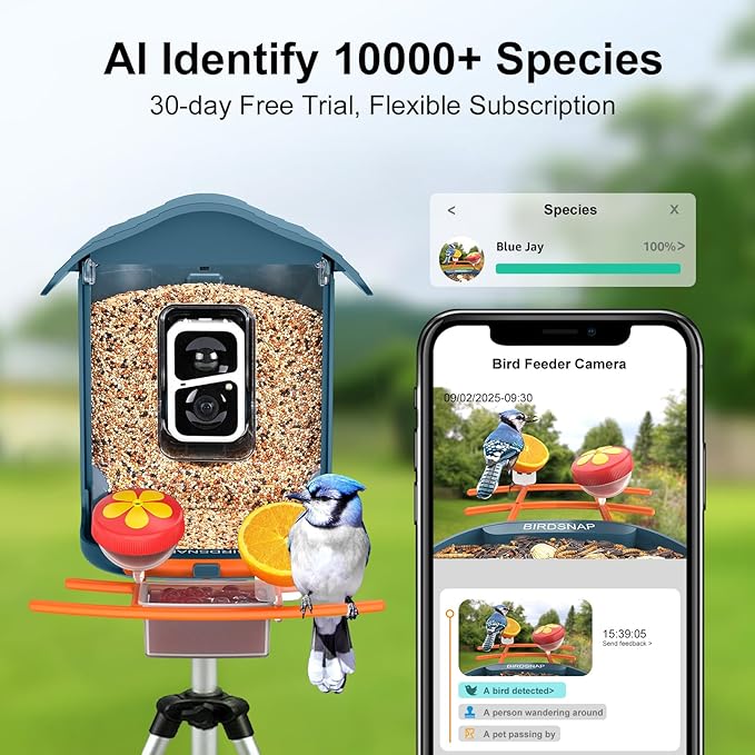 birdsnap® PAV-Bird Feeder with Camera,2K HD with 64GB Card, AI Identify Smart Bird House Cam Solar Panel,Live Stream,Motion Detection,Auto Record Video for Backyard Outdoors,Ideal Gift for Bird Lover