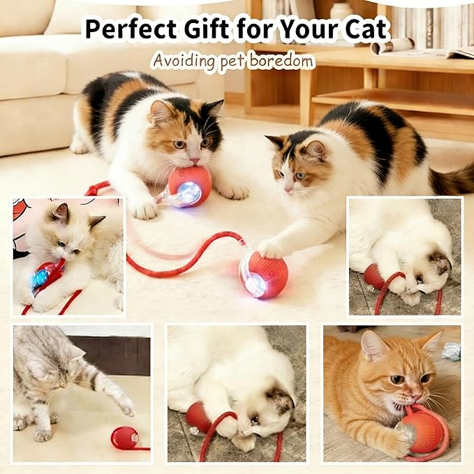 Rechargeable Smart Rolling Cat Ball, Automatic Interactive Cat Toy with 3 Modes, LED Light & 3 Replaceable Accessories, Indoor Cat Exercise Toy for Kittens & Adult Cats, for Boredom Relief Sky blue