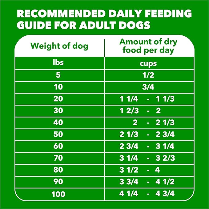 IAMS Proactive Health Adult Minichunks Premium Dry Dog Food, Adult Dog Food Dry Recipe, 40 lb.