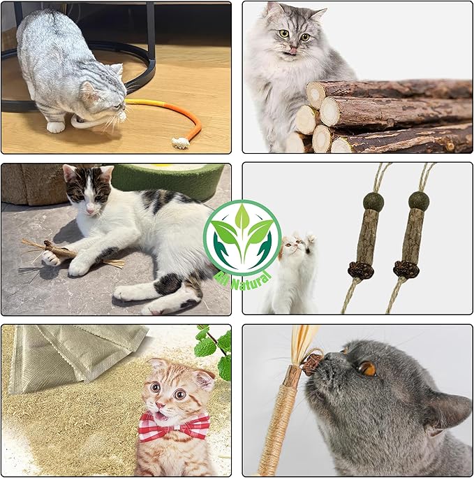 Cat Chew Toys Cat Toys, Silvervine Sticks for Cats Teeth Cleaning Rope, Kitten Teething Dental Care, Kitty for Indoor Cats Increase Appetite, Enhances Oral & Dental Health (21 Pack)