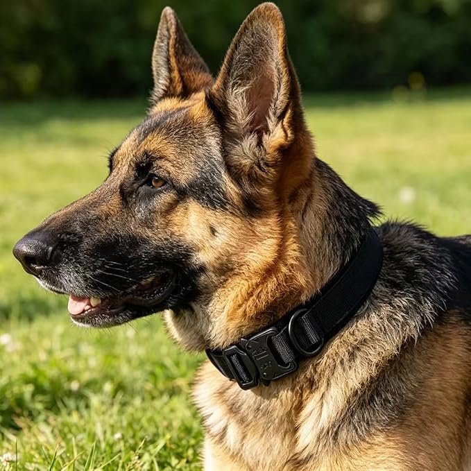 Xqpetlihai Tactical Dog Collar Adjustable Military Nylon Dog Collar with Control Handle and Heavy Duty Metal Buckle for Medium and Large Dogs (Black,XXL)