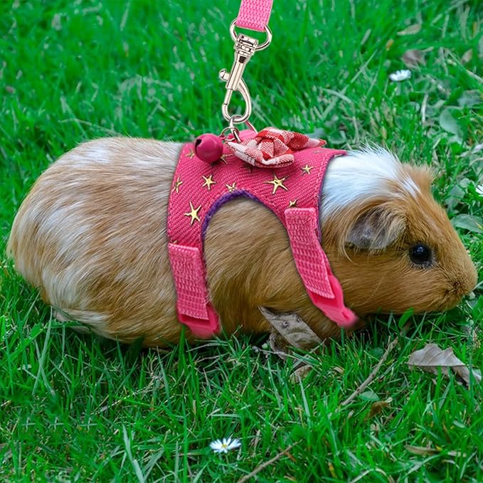 Hypeety Small Animal Harness Vest and Leash Set Soft Mesh Small Pet Harness Hamster Rabbit Chest Back Outdoor Leash Traction Rope for Rabbit Ferret Guinea Pig Kitten Clothes Accessory (S, Pink Star)