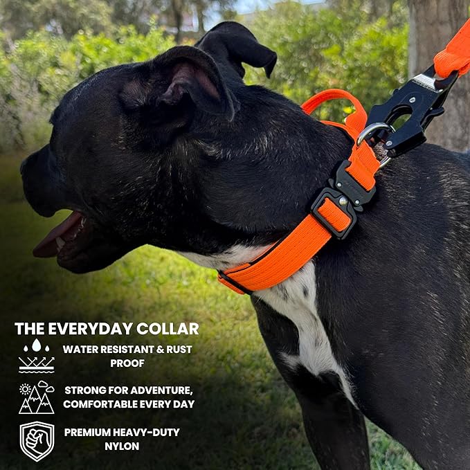 Tactical Dog Collar for Puppy, Heavy Duty Puppy Collar, Dog Collar for Small Dogs, Waterproof Dog Collar, Dog Training Collar, Quick-Release Metal Buckle, Adjustable Sizes – BULLYBREED (Orange, Small)