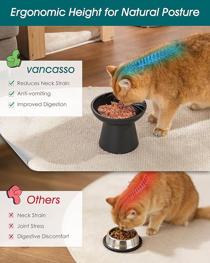 vancasso Elevated Cat Food Bowls 2-Pack, 6.2" Wide Shallow Cat Feeding Bowl for Whisker Fatigue, 5.1" Height Ceramic Raised Food Bowls for Senior Cats, Anti Vomit, Black