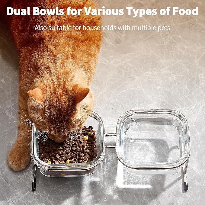 Hannadepot Elevated Cat Bowls, 15° Tilted Glass Raised Cat Food Bowl with Stainless Steel Stand, 2 Large Capacity Glass Cat Bowls and 4 Anti Slip Feet, Suitable for Cats and Little Dogs