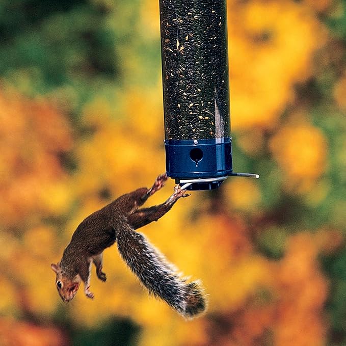 Droll Yankees Whipper Squirrel-Proof Bird Feeder for Outdoors - 5lb Seed Capacity, Weight-Activated Collapsible Perches, Heavy-Duty Metal Construction, Powder-Coated Blue Tube Feeder, YCPW-180-M