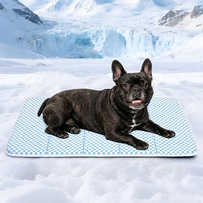 Cooling Dog Mat Q-Max>0.5 - Rapid Cooling Tech, Thin Breathable Crate Pad, Portable Washable Summer Mat, Chill Soothing Fabric - 30"x20" Medium Dog, Blue