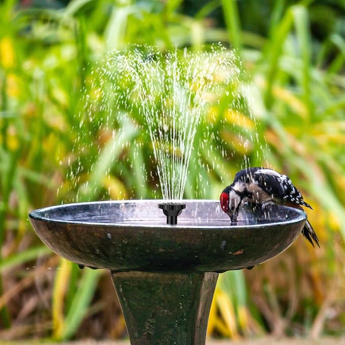 Biling 7.5W Solar Water Pump Outdoor 80 GPH with Dry-Run Protection | Solar Fountain with DIY 5ft Tubing for Samll Ponds, Garden Pool and Bird Bath