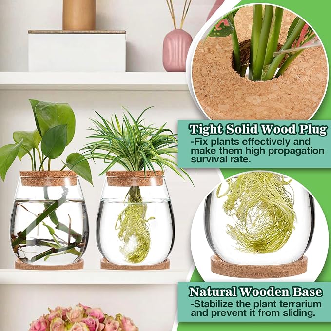 Plants Propagation Station, Gardening Gifts for Women Mom Plant Lovers | Biggun 2Pcs Desktop Plant Terrarium Glass Hydroponic Vases, Water Plant Jars (Water Drop Shape, Separated Tray Style)