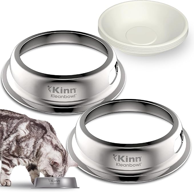 Kinn Whisker Fatigue Cat Bowl, Compostable & Disposable for Food & Water, 24oz (2 Pk) Whisker Friendly Cat Dish for Owners Needing Convenience and Cleanliness in a Pet Bowl