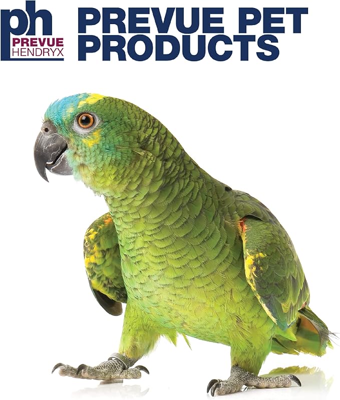 Prevue Pet Products Parrot Play Stand with Wheels - Rolling Bird Stand Play Center with Perches and Ladders, Indoor & Outdoor Playground for Birds with Swing, Enrichment Accessories - Black