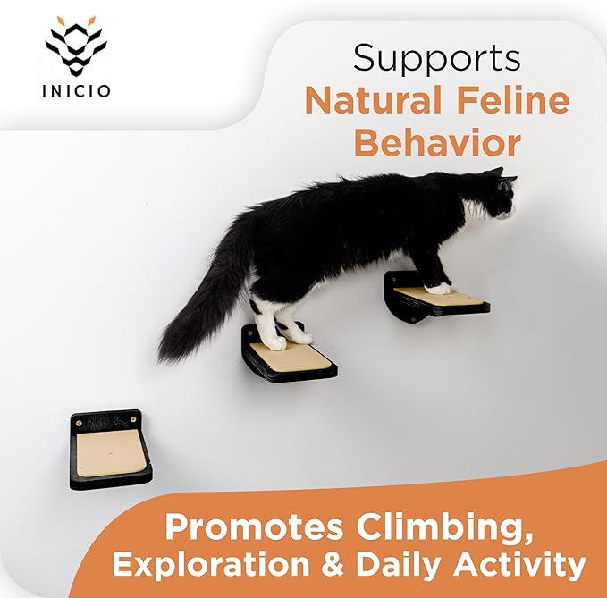 INICIO Cat Wall Steps - Set of 3 Cat Wall Stairs for Cats to Climb with Fixtures, 8.7"x4.7" - Floating Steps for Climbing or Playing - for Kittens and Adult Cats, Black