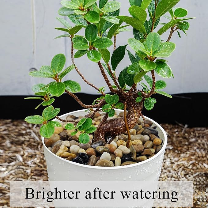 FANTIAN 10 lbs Pea Gravel for Landscaping, 2/5 Inch Size Mixed Color River Rocks for Aquarium, Succulent, Vase Fillers, Cactus Bonsai, Plant Soil Cover and Outdoor Garden Rocks.