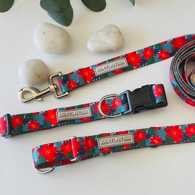 Lucky Love Dog - Easy Click Noel Dog Collar with Leash Set Combo, Durable & Comfortable for Male & Female Dogs, Pet Collar for Medium Dogs, Secure Fit - Noel Combo, Medium